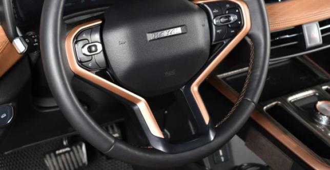 фото 603653-11 - Jolion