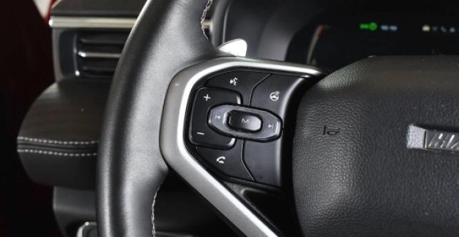 фото 604400-13 - Jolion