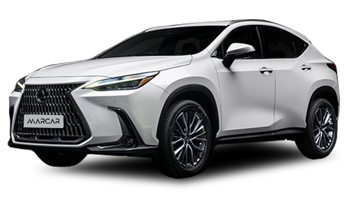 фото Главная