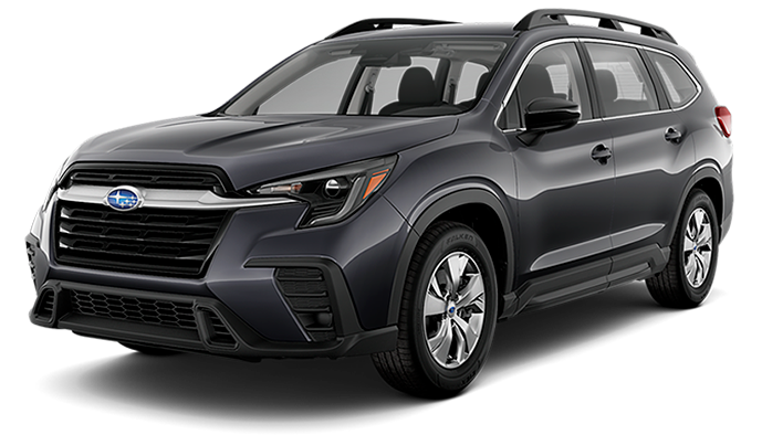 фото Главная